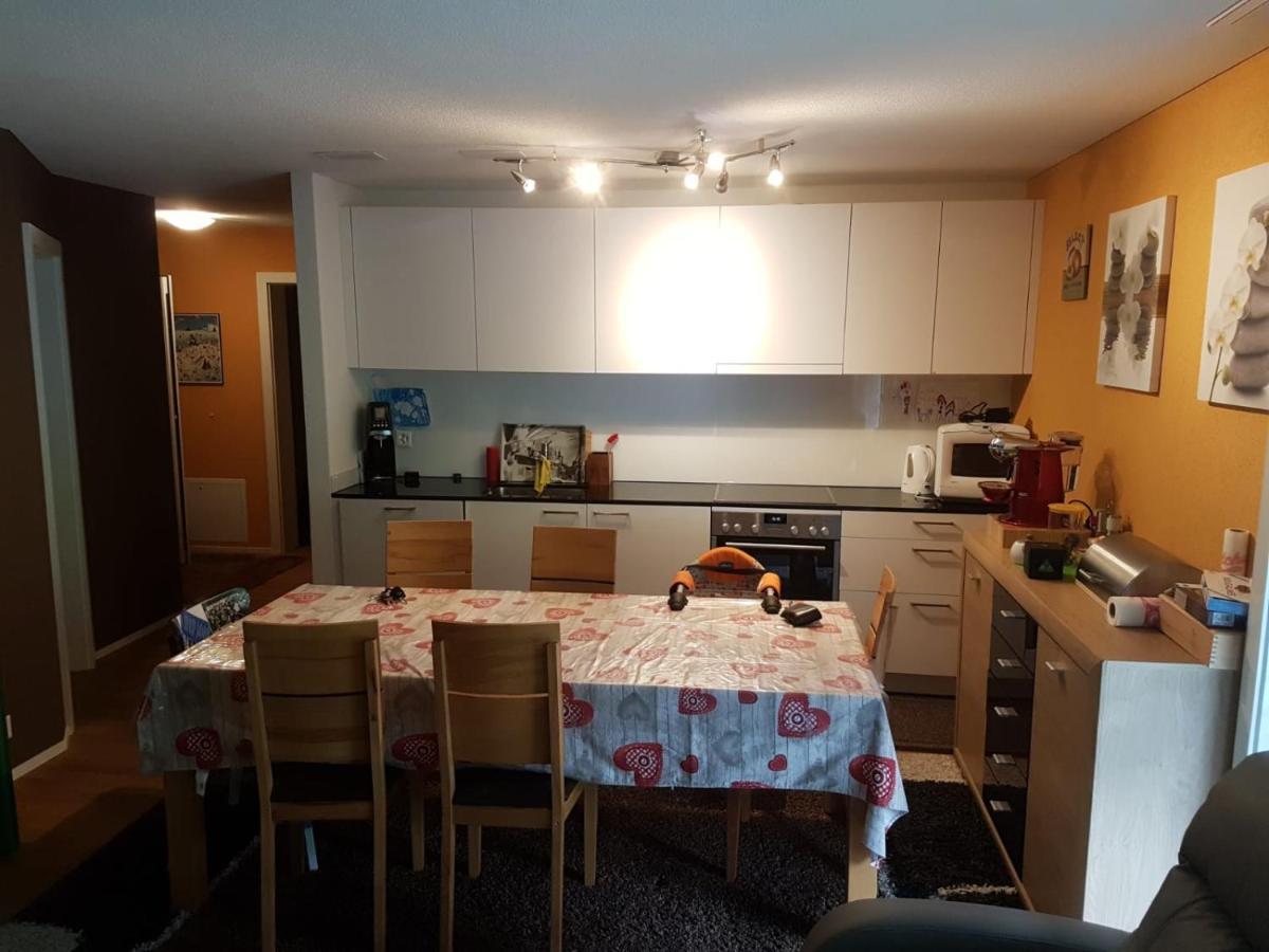 Apartment Realp-andermatt Nature Retreat: Mountain Biking, Skiing, And Scenic Train Access *