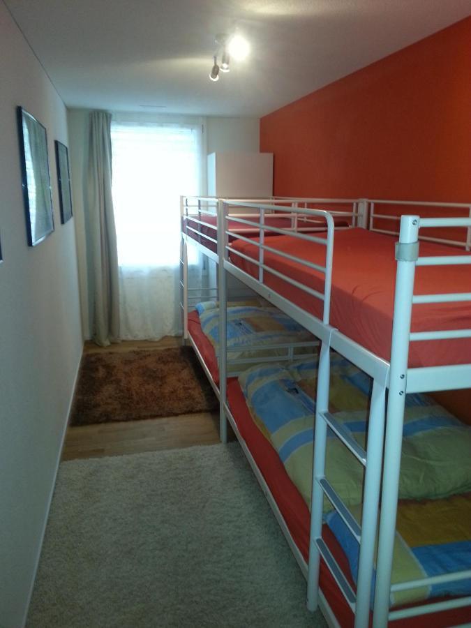 Realp-andermatt Nature Retreat: Mountain Biking, Skiing, And Scenic Train Access Apartment Realp