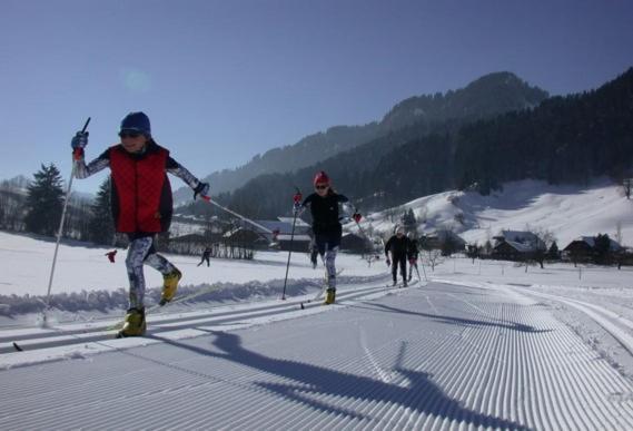 Realp-andermatt Nature Retreat: Mountain Biking, Skiing, And Scenic Train Access Apartment *