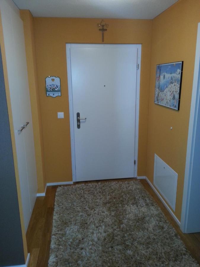 Realp-andermatt Nature Retreat: Mountain Biking, Skiing, And Scenic Train Access Apartment *