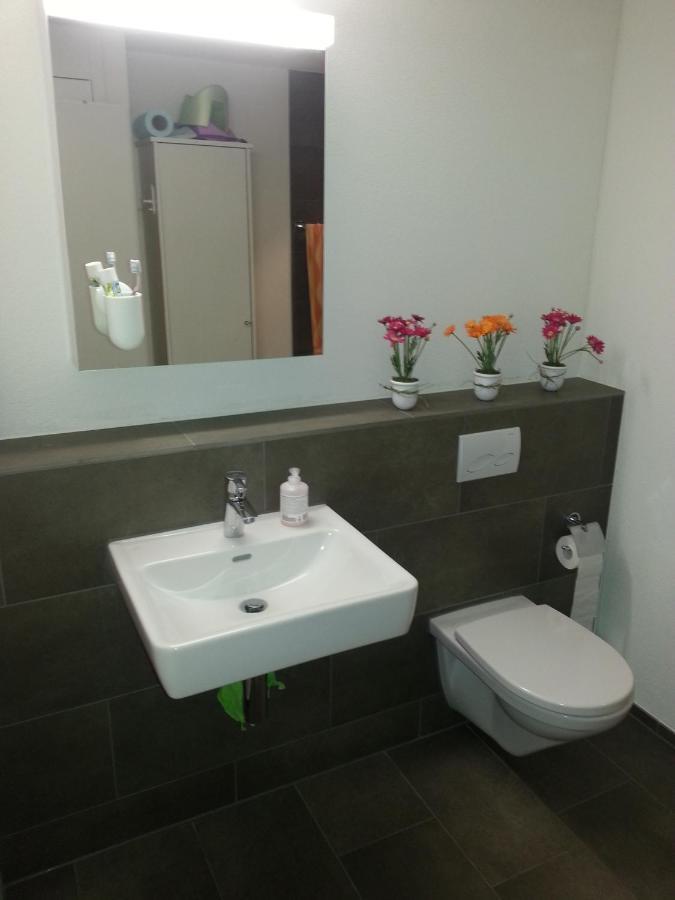 Realp-andermatt Nature Retreat: Mountain Biking, Skiing, And Scenic Train Access Apartment Realp